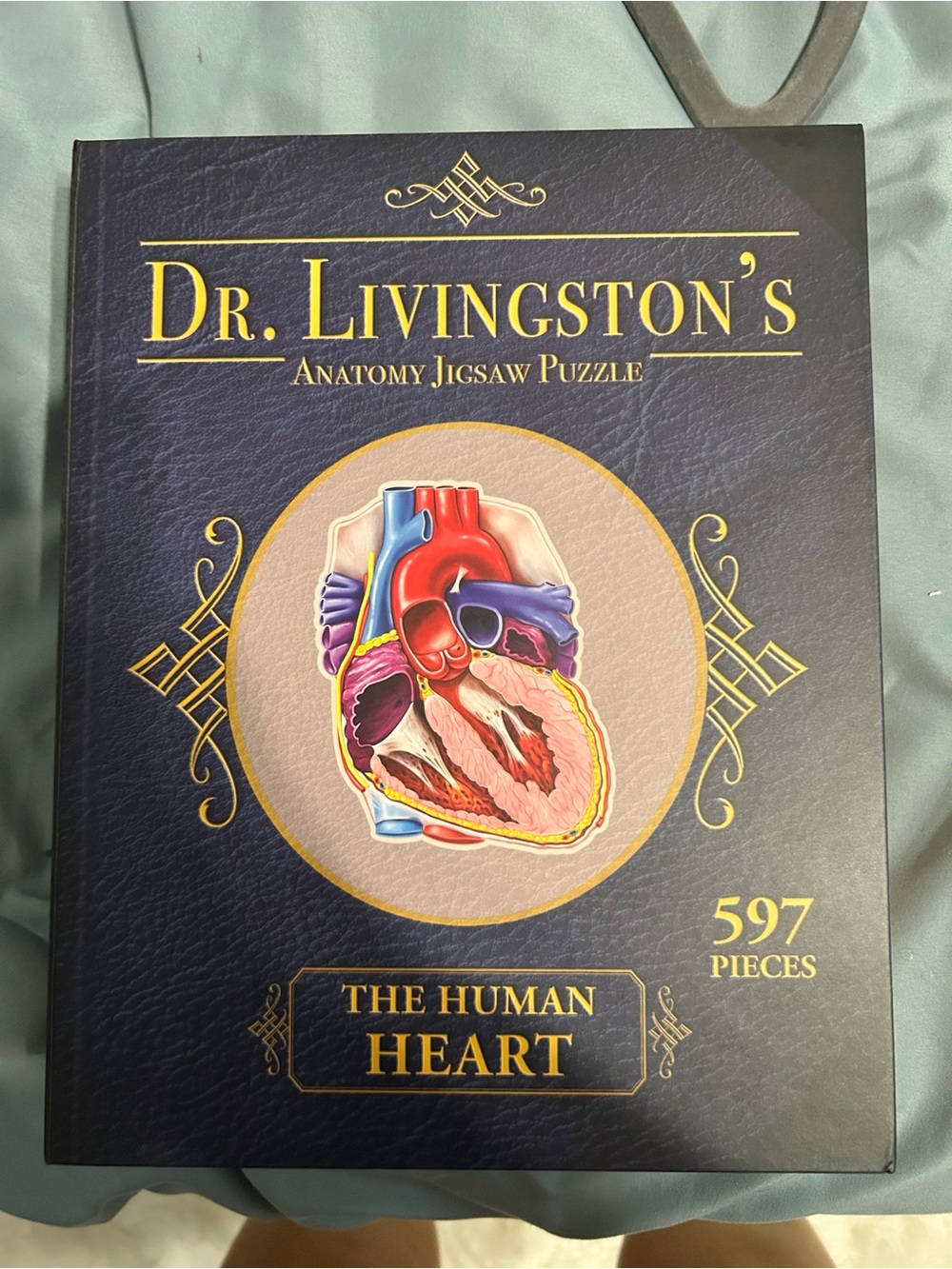 The Human Heart Anatomy Jigsaw Puzzle - Blue Cover